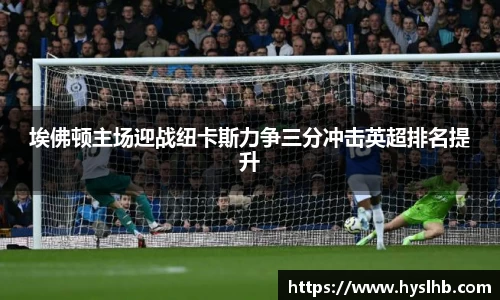 埃佛顿主场迎战纽卡斯力争三分冲击英超排名提升